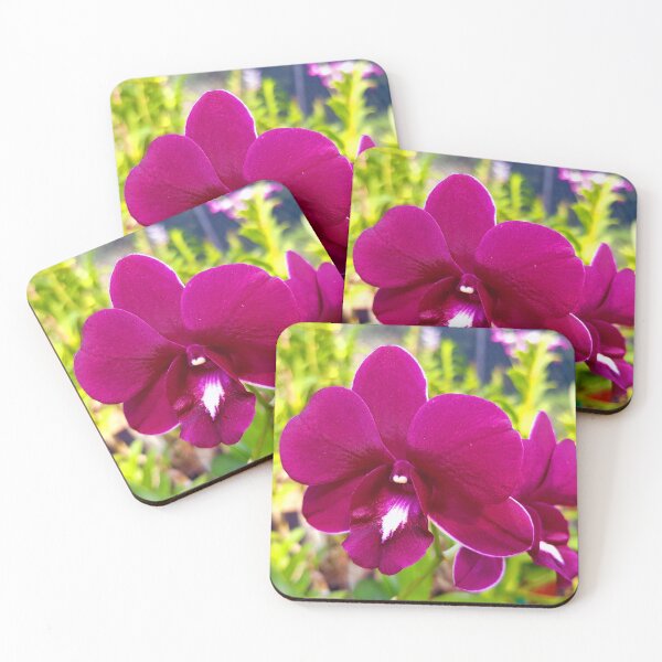Item preview, Rich Purple Orchid designed and sold by fnq-photography.