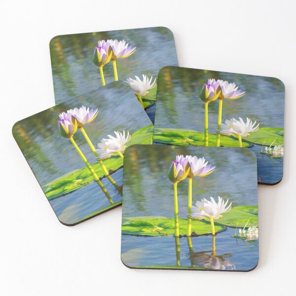 Item preview, Water lilies in the morning sun designed and sold by mhall.