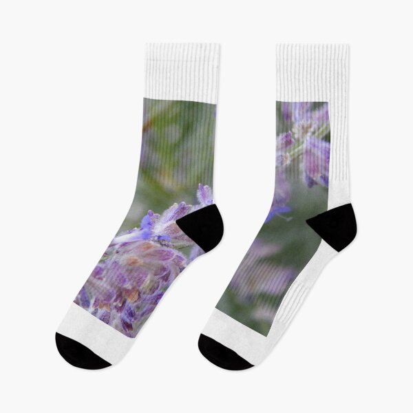 Item preview, Purple lavender flowers designed and sold by Stephanie  Skeem.