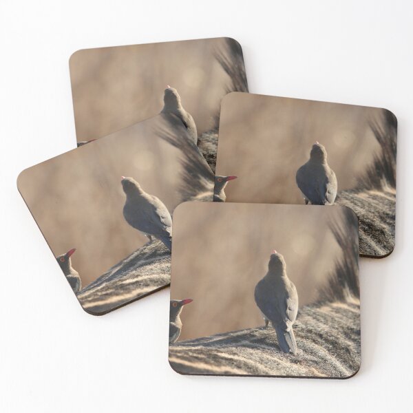 Item preview, Red-billed oxpecker on the back of a zebra  designed and sold by NJH110.