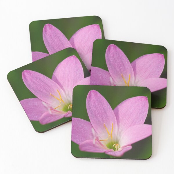 Item preview, Pink Rain Lily (Zephyranthes Robusta) designed and sold by mhall.