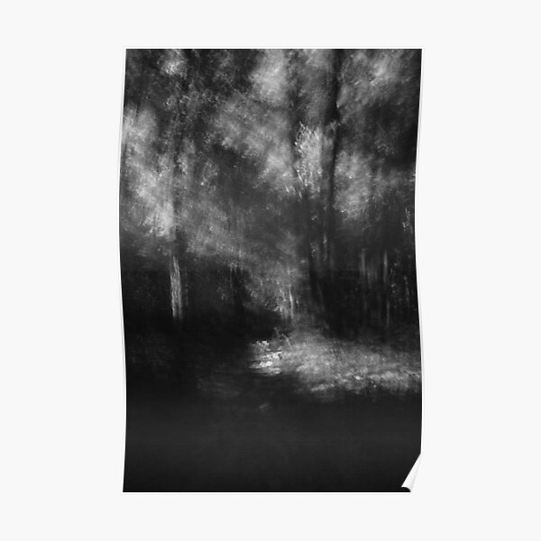 Where the light falls Lou Campbell Nature Preserve Poster
