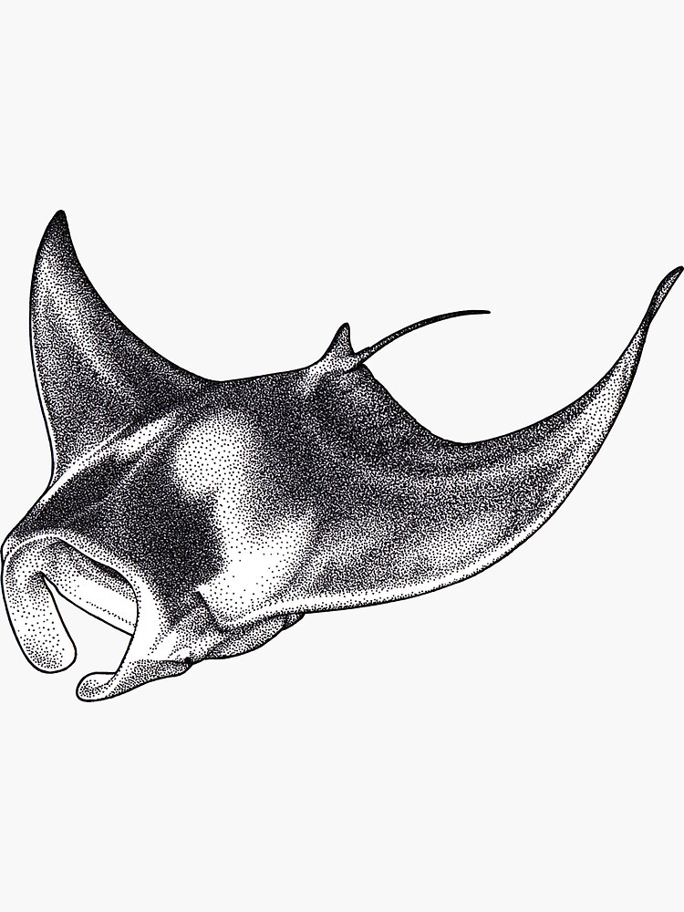 Thumbnail 3 of 3, Sticker, Giant Oceanic Manta Ray designed and sold by JoshHilditch.