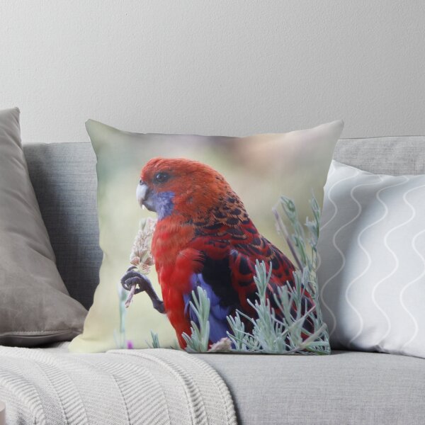 Item preview, Crimson Rosella - Platycercus elegans designed and sold by Paul Piko.