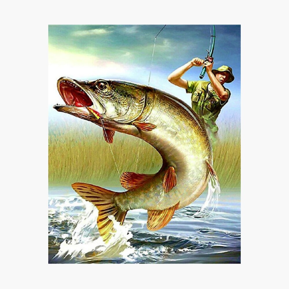 Artículos de pesca fotos de stock, imágenes de Artículos de pesca sin  royalties