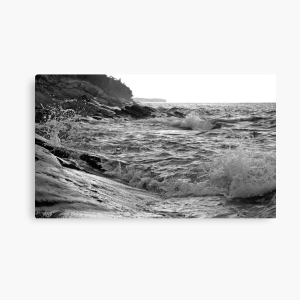 speak to me Canvas Print