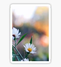 wonderful world of wildflowers Sticker