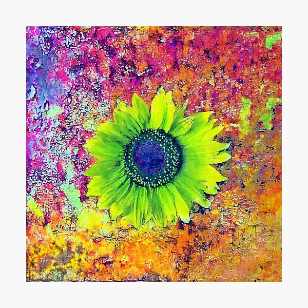 Abstract sunflower Photographic Print