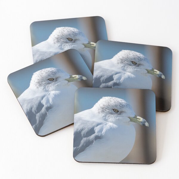 Item preview, Closeup Profile of Ring Billed Gull designed and sold by Stretch Clendennen.