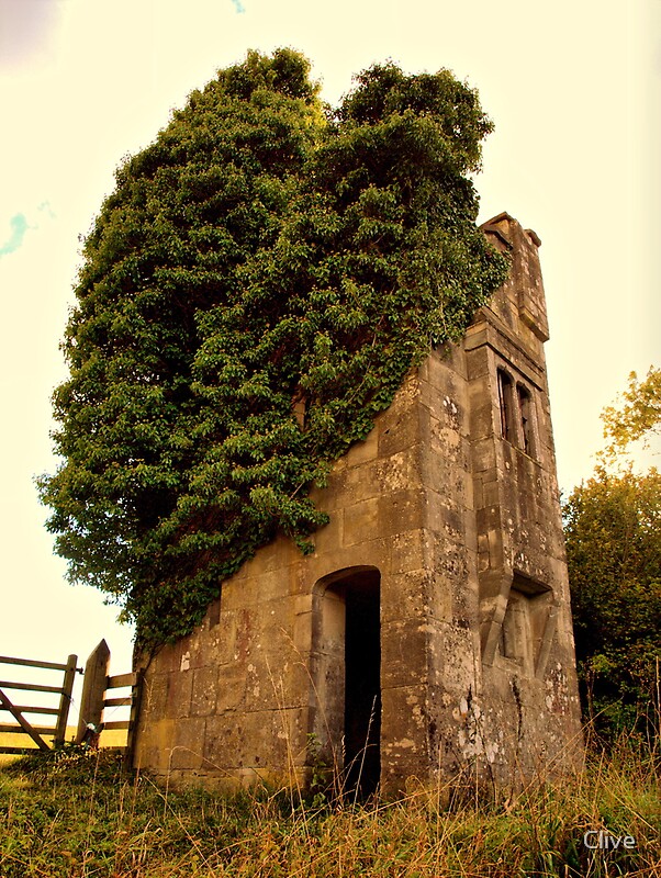 possibly-the-smallest-castle-in-the-uk-by-clive-redbubble
