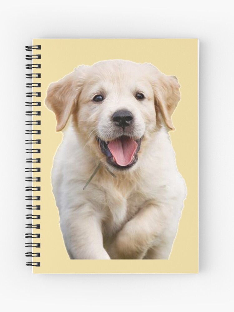 Golden Retriever Puppy Spiral Notebook By Raza20 Redbubble