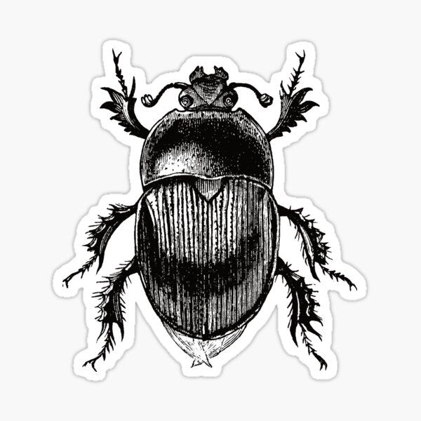 Item preview, Scarab scientific Vintage Engraving designed and sold by Beltschazar.