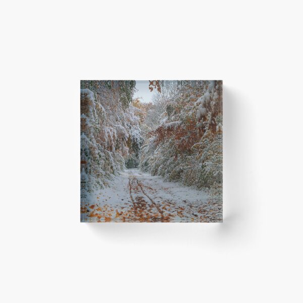 Item preview, Snow Forest designed and sold by Esculor.