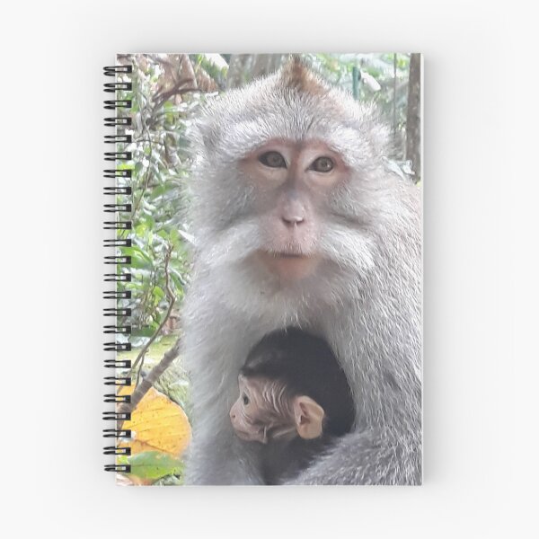 Item preview, Balinese Monkey Mom and Baby designed and sold by Bali2020.