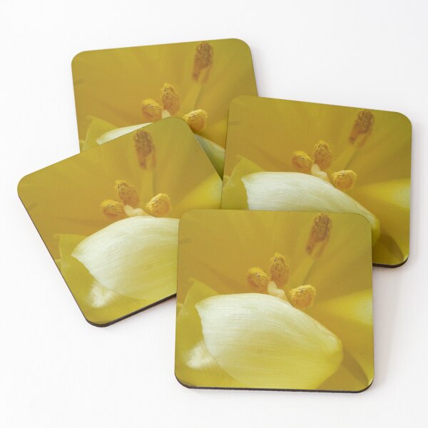 Item preview, Don't be shy. Tulips 19 designed and sold by Jouko Lehto Photography.