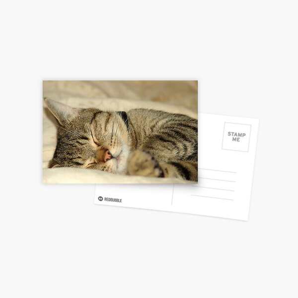 Item preview, Butter wouldn't melt when he's asleep! designed and sold by weecritter.