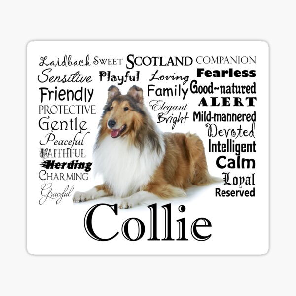 Item preview, Collie Traits designed and sold by DogLove.