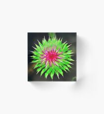 Purple Thistle Flower Acrylic Block