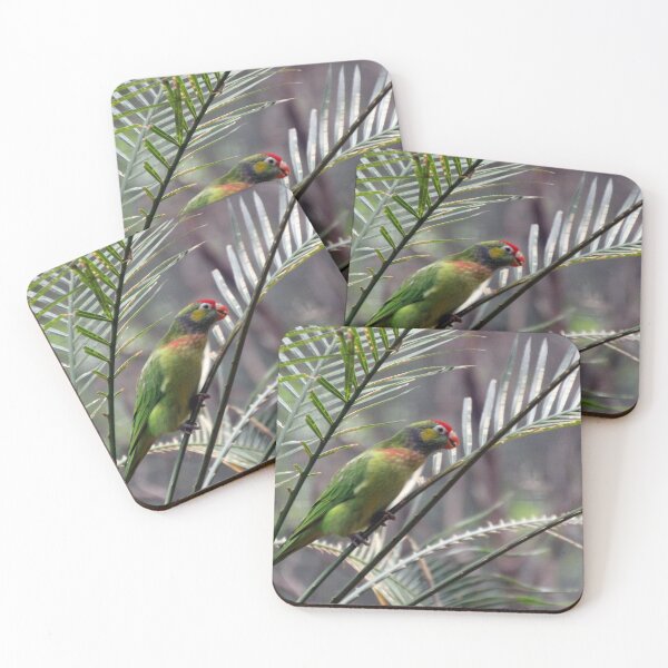 Item preview, Varied Lorikeet designed and sold by Asoka.