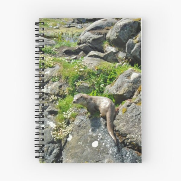 Item preview, Otter on the rocks designed and sold by niki2028.