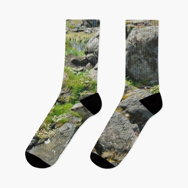 Item preview, Otter on the rocks designed and sold by niki2028.