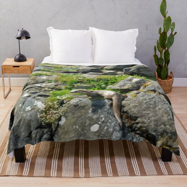 Item preview, Otter on the rocks designed and sold by niki2028.