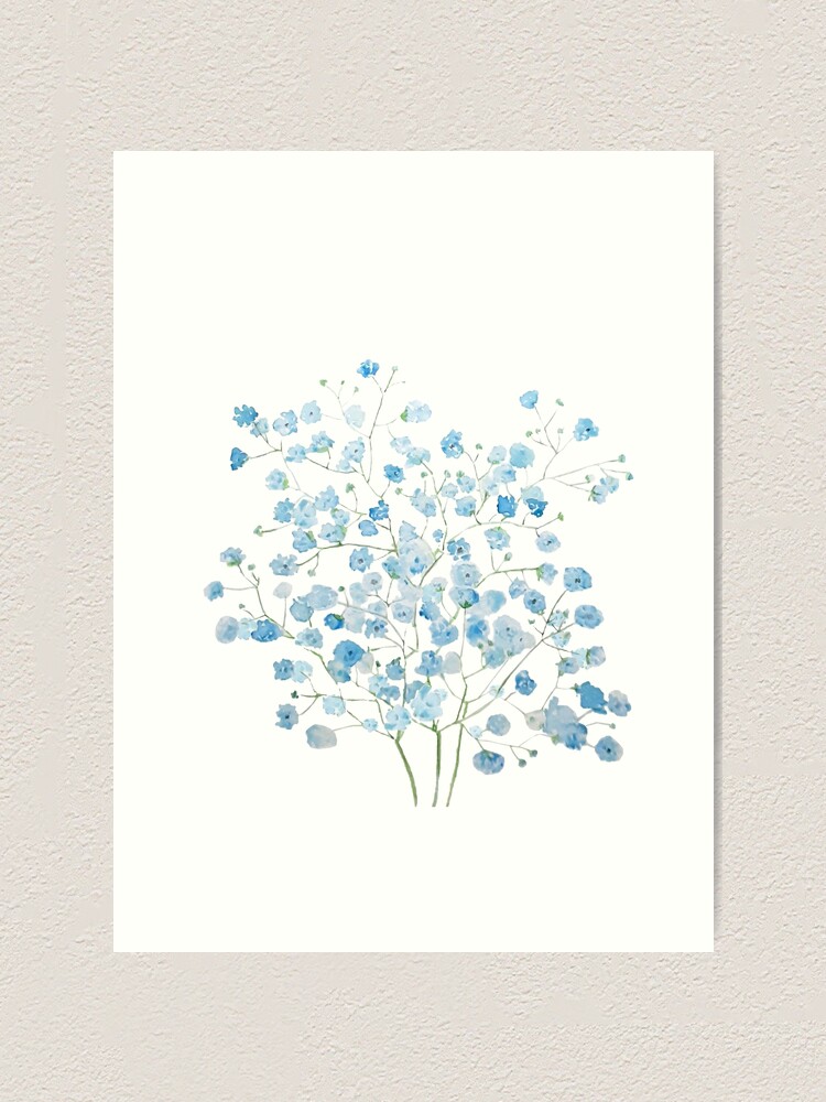 light blue Baby Breath Bouquet gypsophila watercolor painting