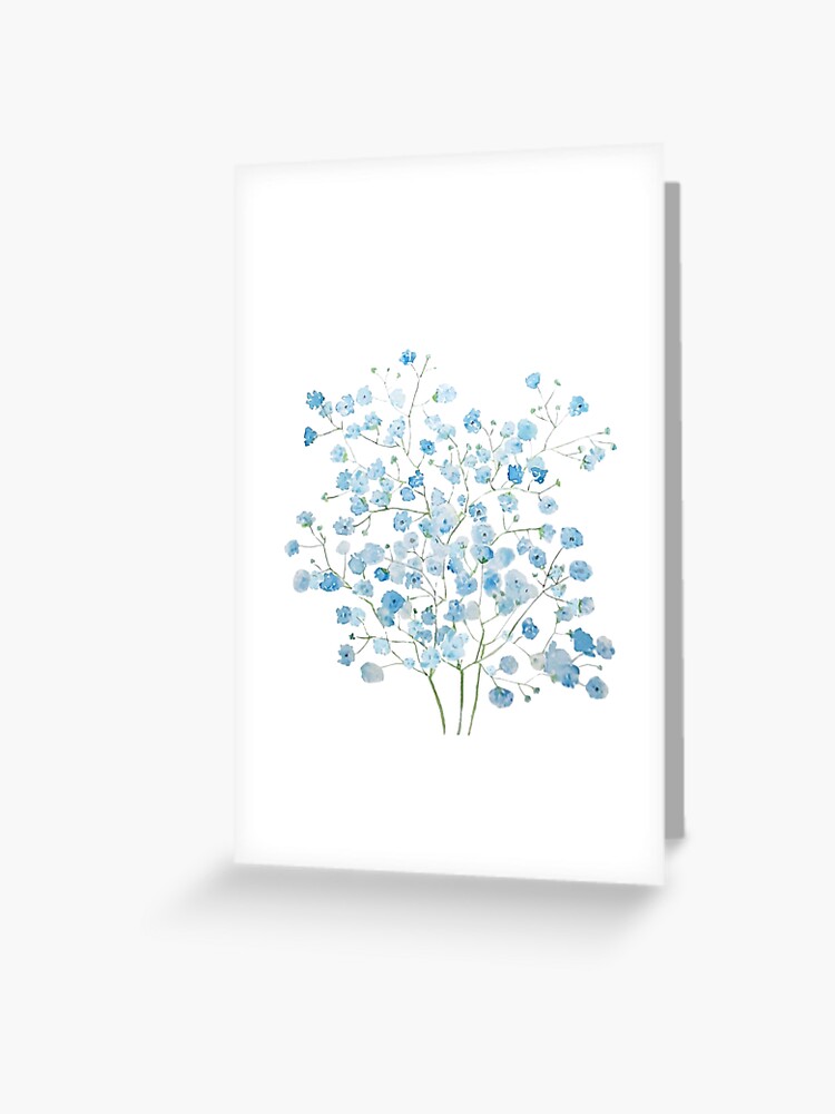 Tarjetas De Felicitacion Azul Claro Ramo De Aliento De Bebe Gypsophila Acuarela De Colorandcolor Redbubble