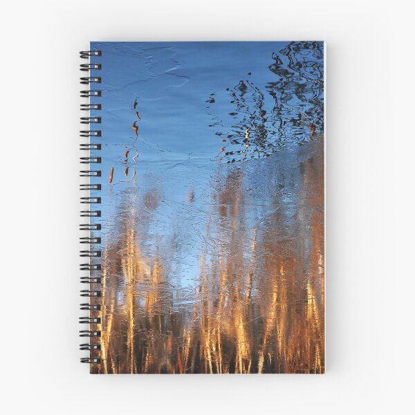 Item preview, Bullrushs and icy reflection. designed and sold by Rob-Turner.
