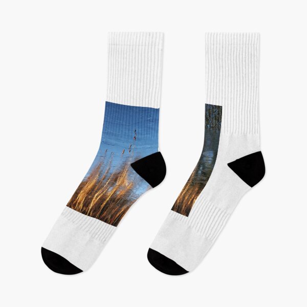 Item preview, Bullrushs and icy reflection. designed and sold by Rob-Turner.