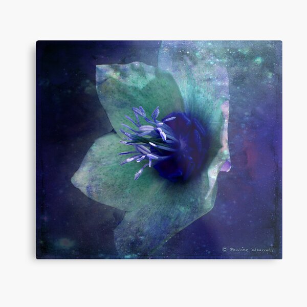A glimpse of paradise Metal Print