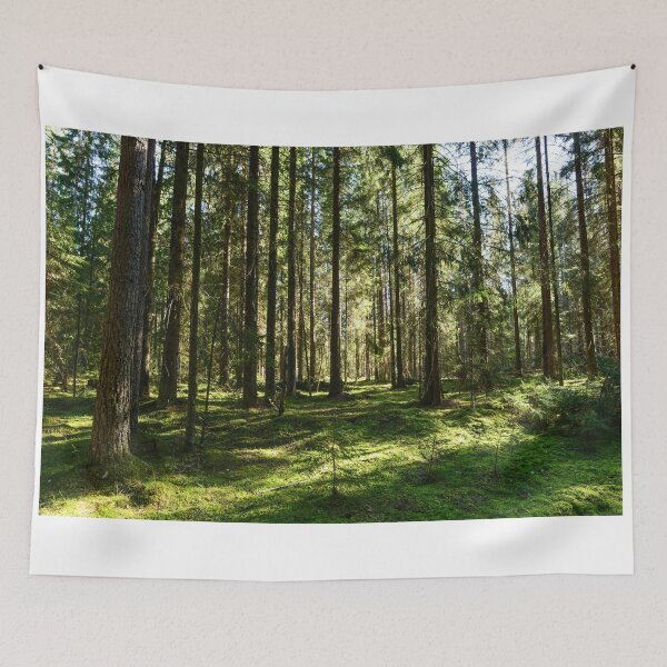 Item preview, Fir forest on an awesome spring morning designed and sold by yarvin13.