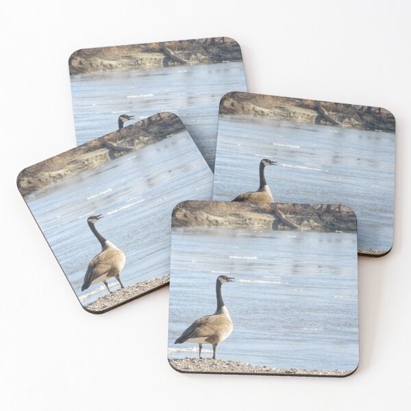 Item preview, Honk designed and sold by Jing3011.