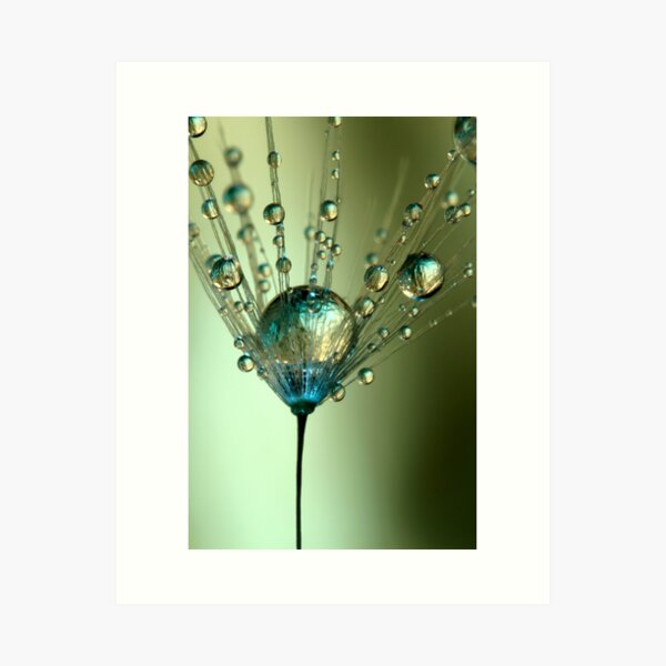 Touch of Blue Art Print