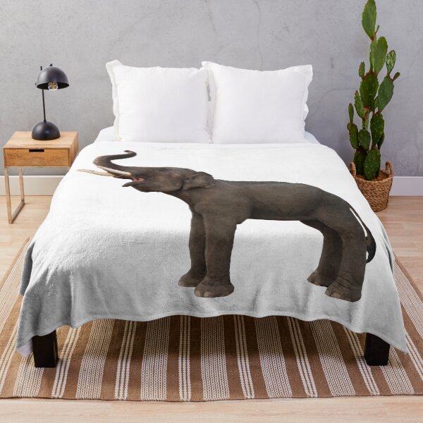 Item preview, Elefante Low Poly designed and sold by BoxCollider.