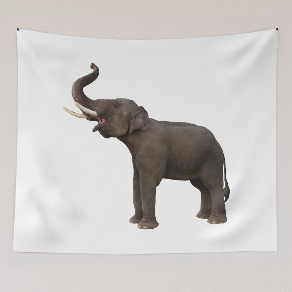 Item preview, Elefante Low Poly designed and sold by BoxCollider.
