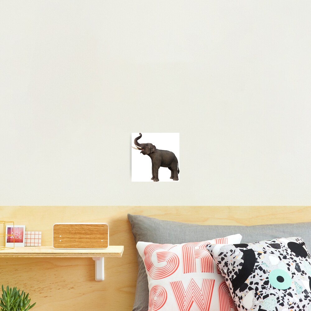 Item preview, Photographic Print designed and sold by BoxCollider.