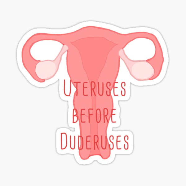 Uteruses Before Duderuses Sticker