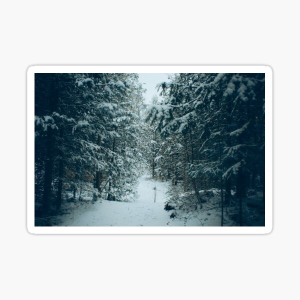 Winter Forest landscape Sticker