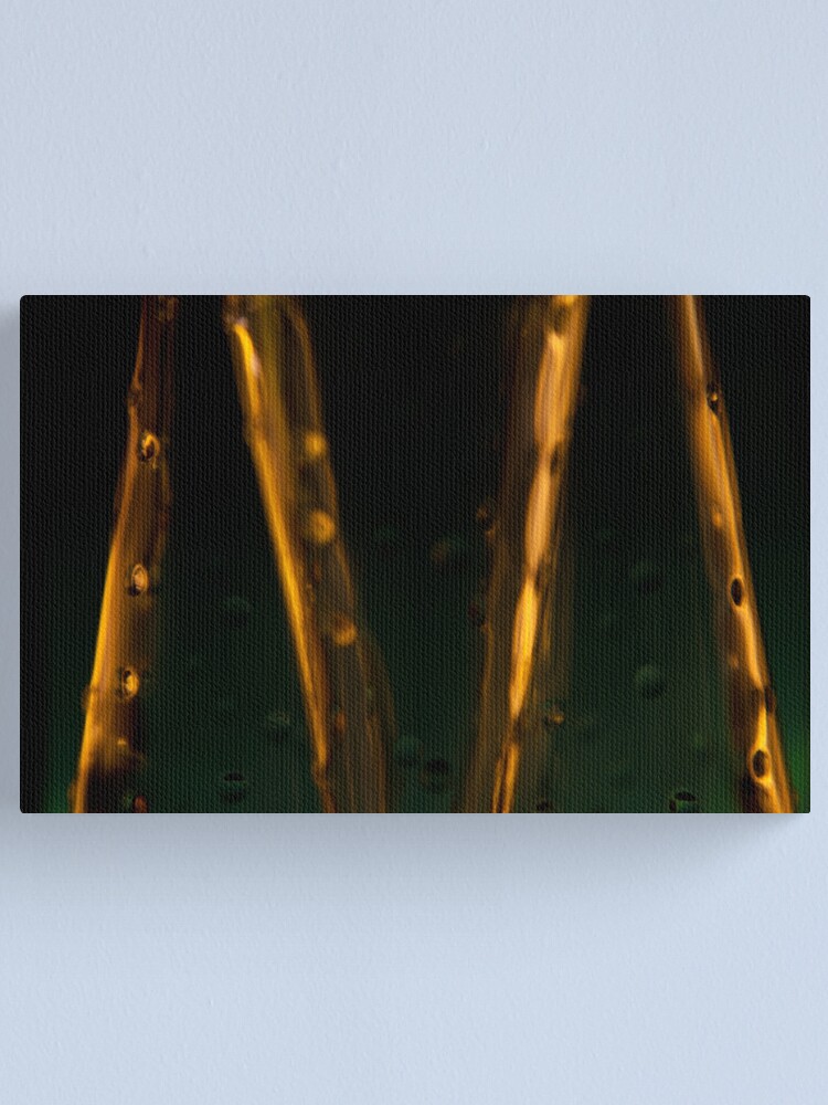 Alternate view of Ode to glass (7) Canvas Print