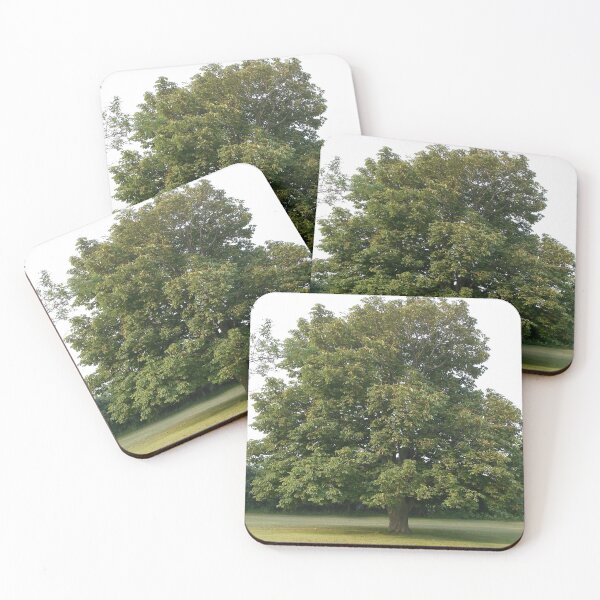 Item preview, Big Tree designed and sold by Scott and Mary Schneider art_photography.