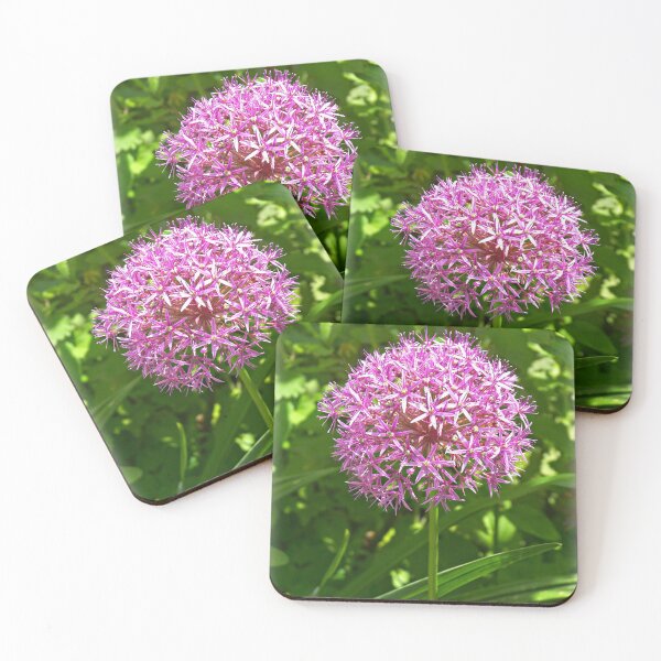 Item preview, Alium Lollipop designed and sold by ColinBoylett.