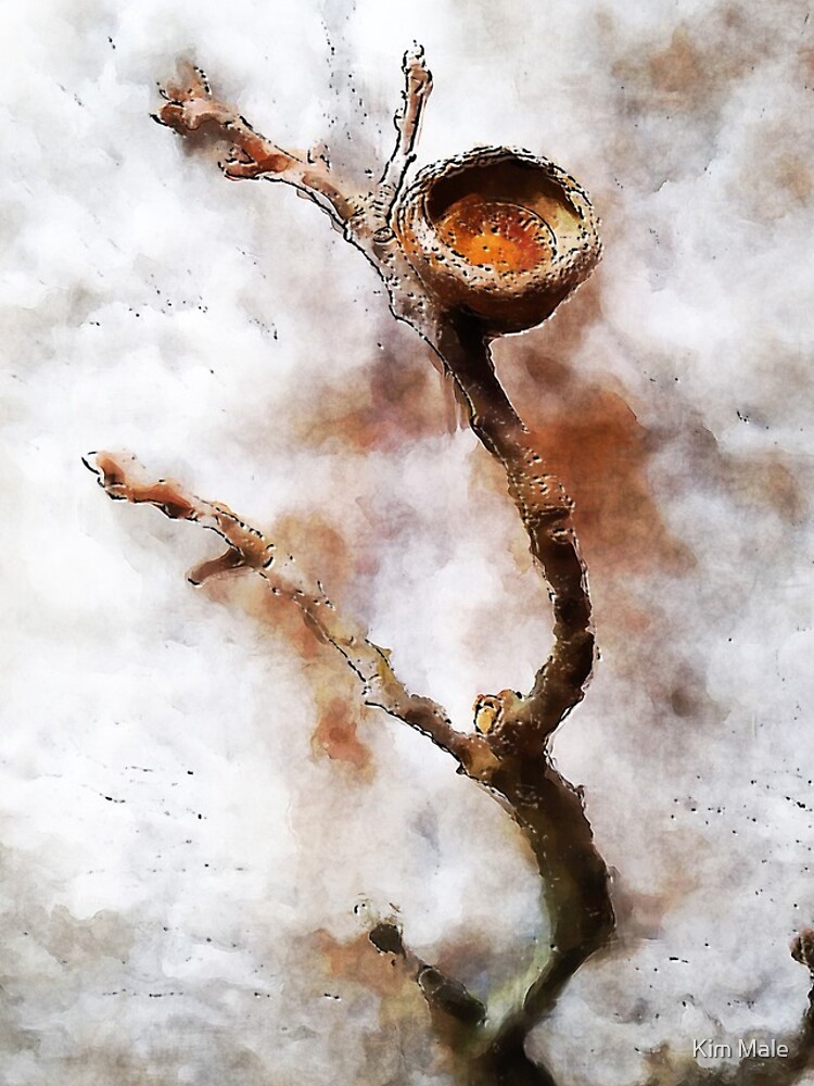 Oak twig and acorn cap by lavenderdream