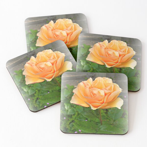 Item preview, Rose designed and sold by ColinBoylett.