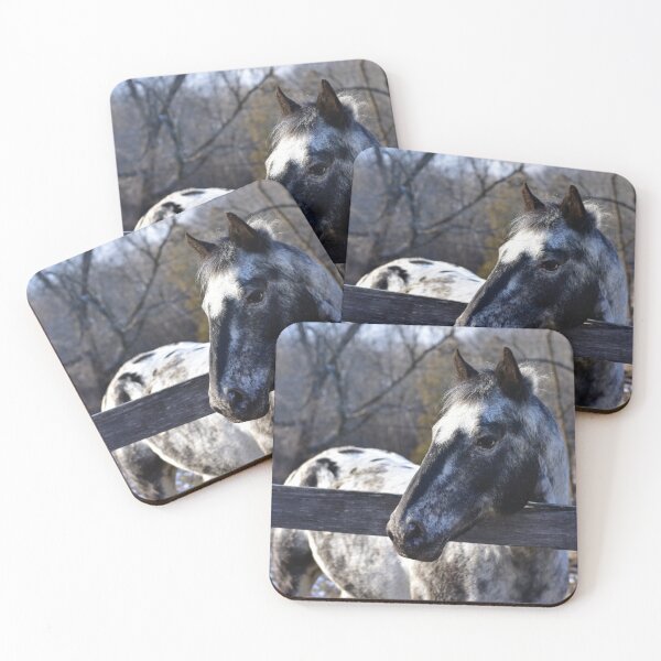 Item preview, Appaloosa designed and sold by Sanelle.