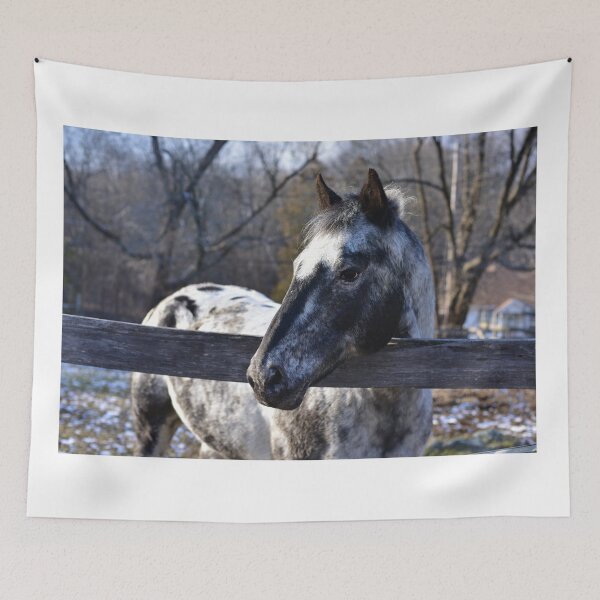 Item preview, Appaloosa designed and sold by Sanelle.