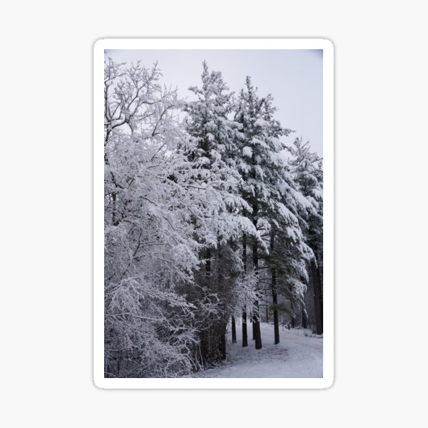 Snowy Forest Sticker