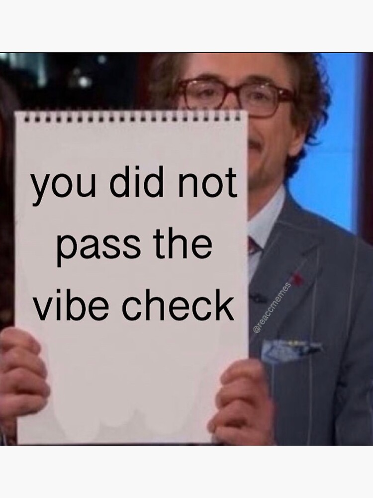you did not pass the vibe check meme