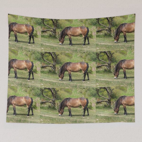 Item preview, Exmoor Pony designed and sold by pinkal.