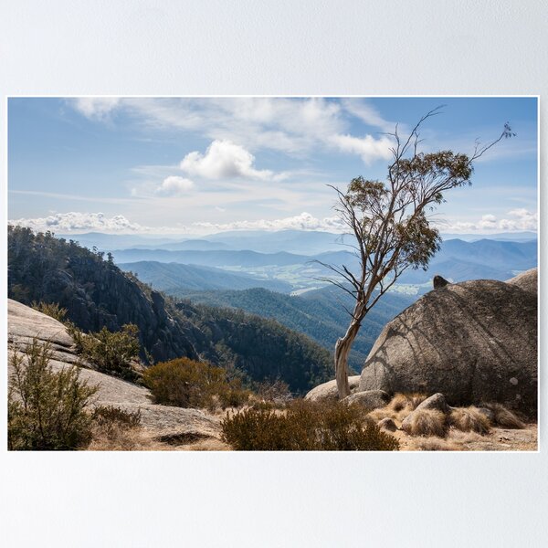 Item preview, Mt Buffalo designed and sold by Neil O'Connor.